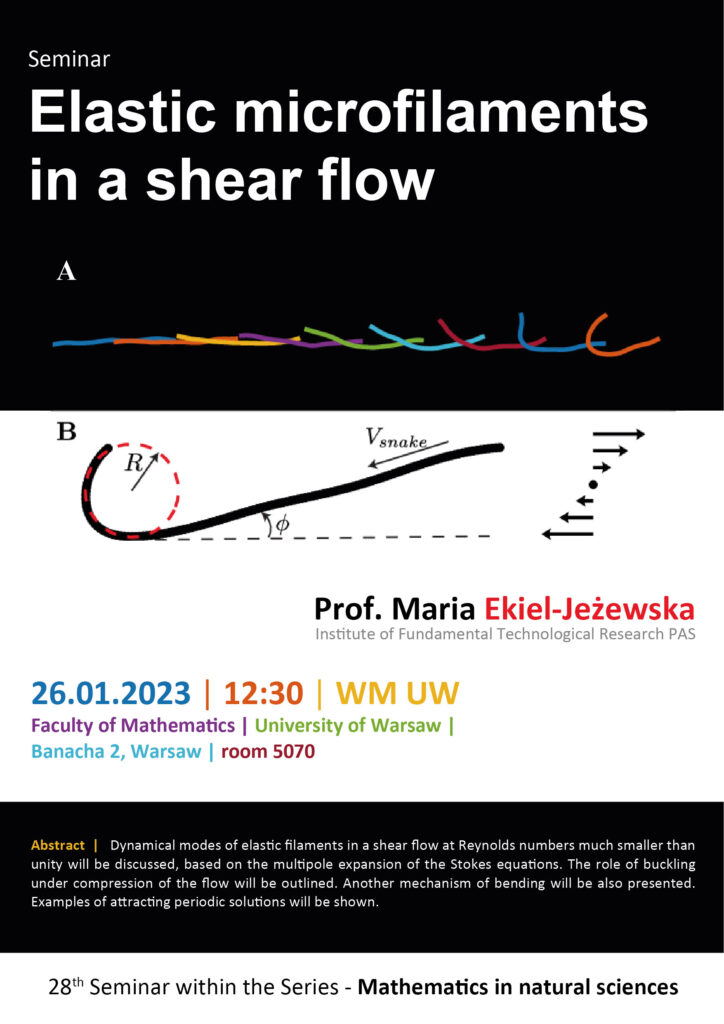 Styczeń 2023 - plakat Seminarium Elastic microfilamenst in a shear flow profesor maria ekiel Jeżewska 26.01.2023 12:30 WM UW faculty of Mathematics Uniwersity of warsaw banacha 2 warszawa pokój 5070