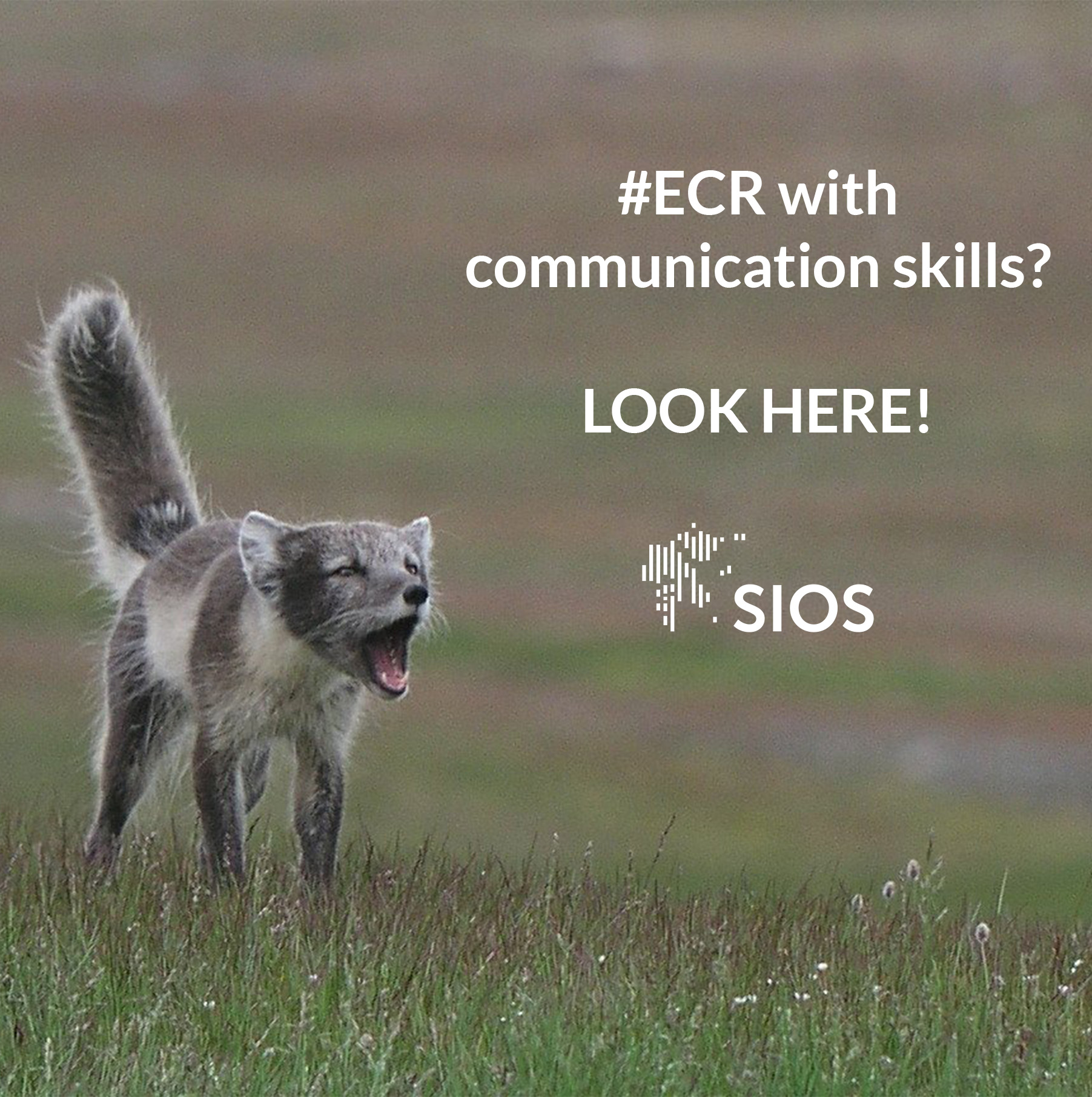 SIOS network