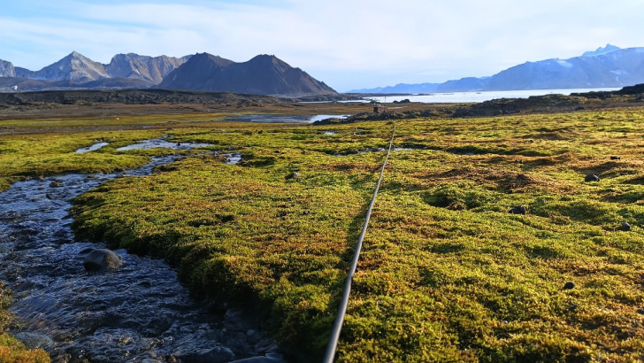 The fibre at the vicinity of HSPA seismic array.